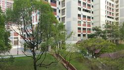 Blk 227 Bishan Street 23 (Bishan), HDB 4 Rooms #127888032